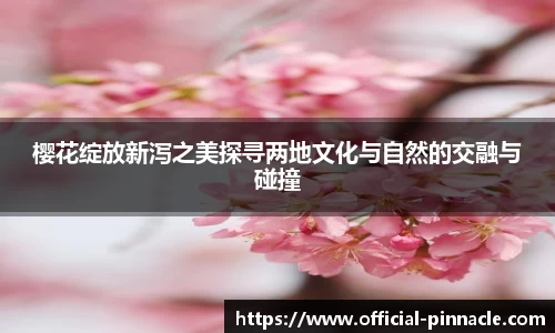 平博pinnacle首页